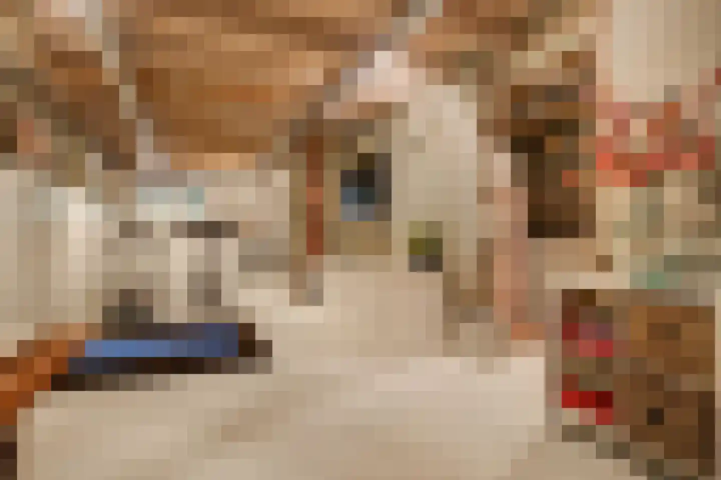 Hoflaan 14 Rotterdam thumbnail 34