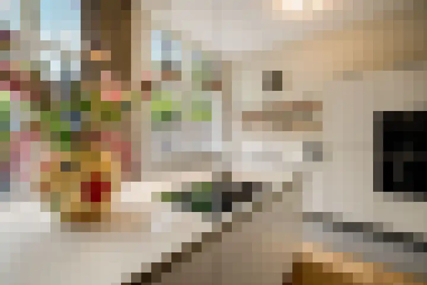 Hoflaan 14 Rotterdam thumbnail 6