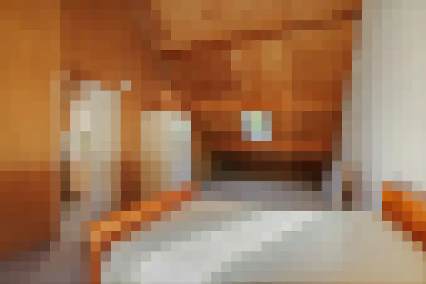Hoflaan 14 Voorst thumbnail 19