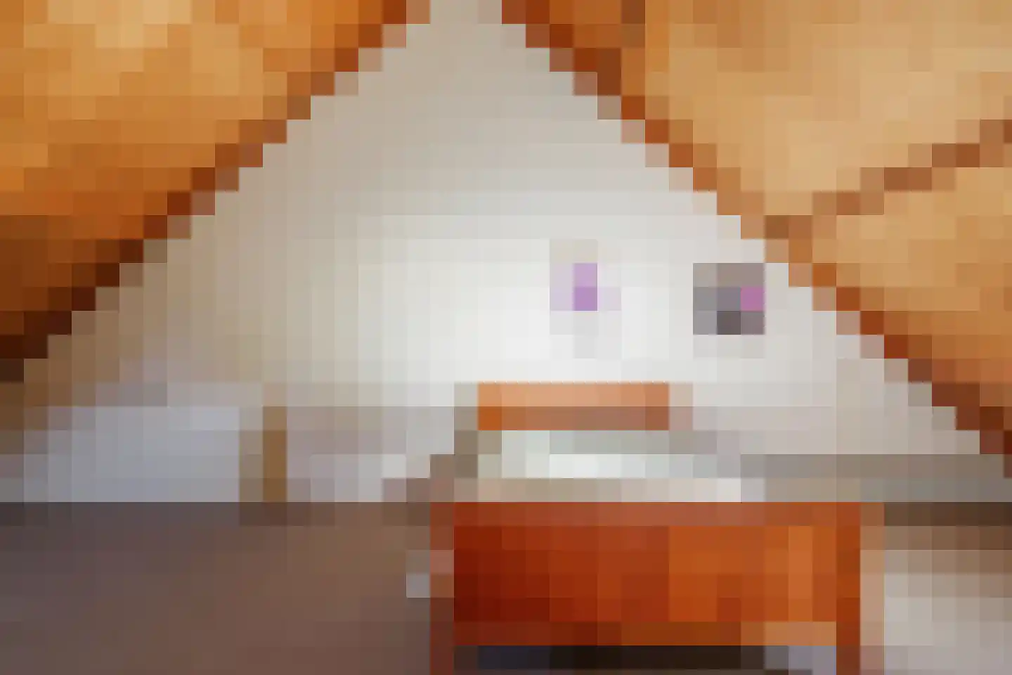 Hoflaan 14 Voorst thumbnail 21