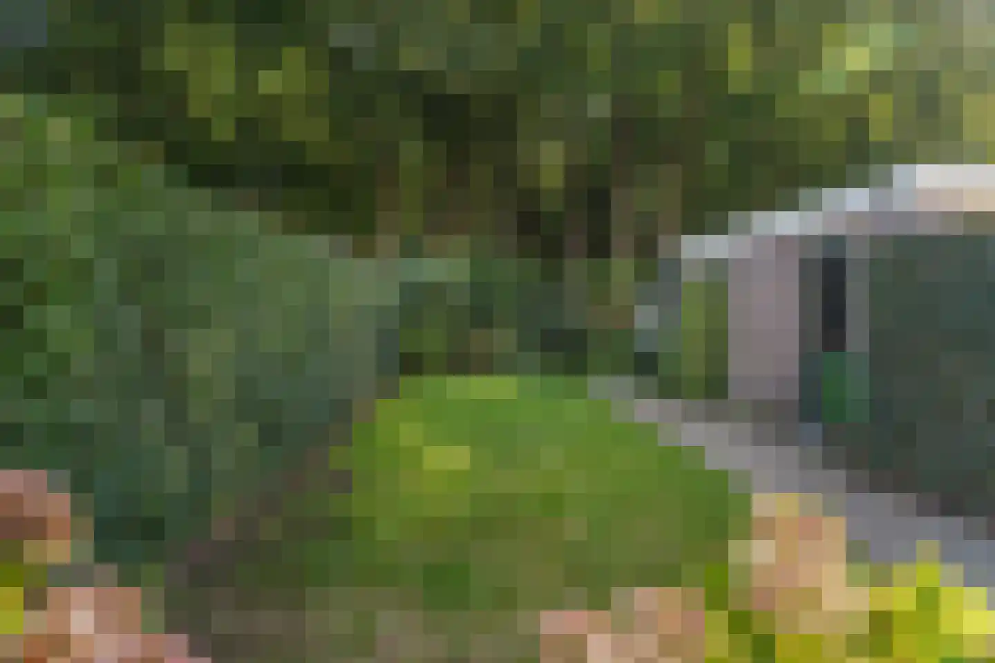 Hoflaan 14 Voorst thumbnail 8
