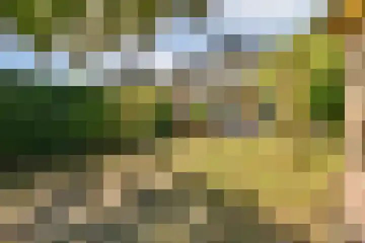 Hoflaan 14 Wassenaar thumbnail 19