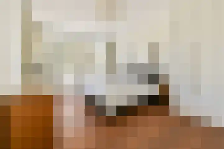 Hoflaan 14 Wassenaar thumbnail 21