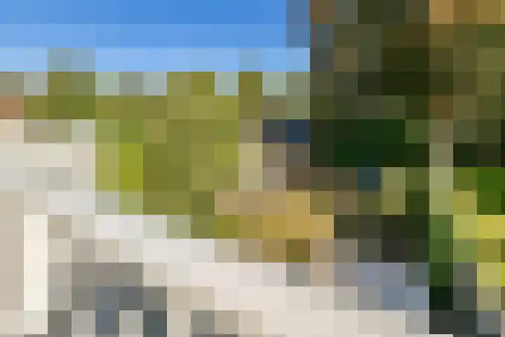 Hoflaan 14 Wassenaar thumbnail 25