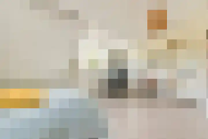 Hoflaan 14 Wassenaar thumbnail 32