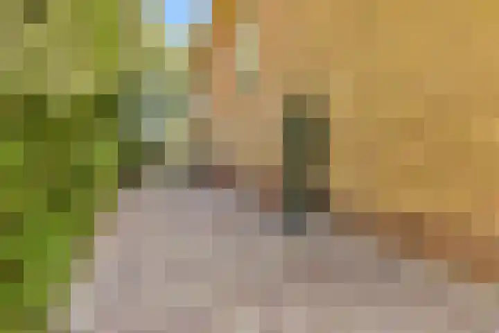 Hoflaan 14 Wassenaar thumbnail 6
