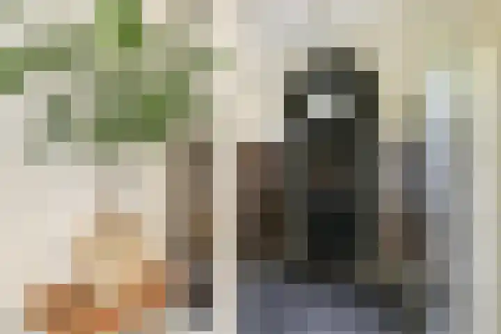 Hoflaan 14 Wassenaar thumbnail 7