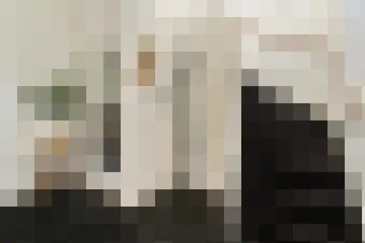Hoflaan 14 Wassenaar thumbnail 8