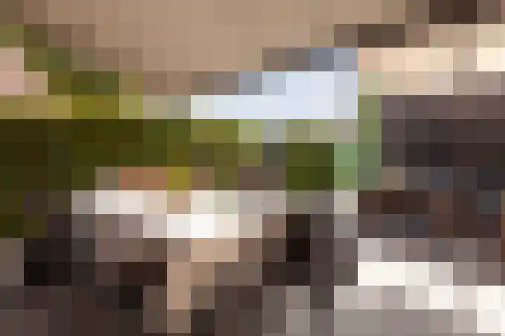 Hoflaan 15 A Vlaardingen thumbnail 20