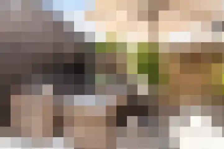 Hoflaan 15 A Vlaardingen thumbnail 22
