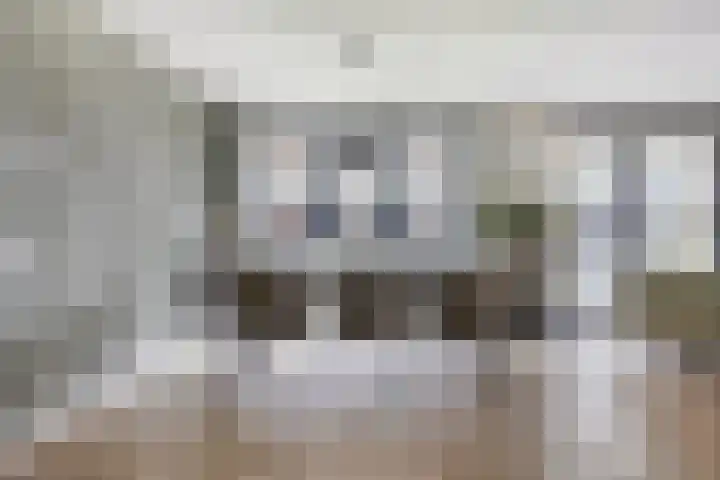 Hoflaan 171 's-Hertogenbosch thumbnail 15