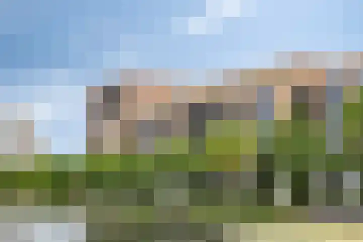 Hoflaan 171 's-Hertogenbosch thumbnail 38