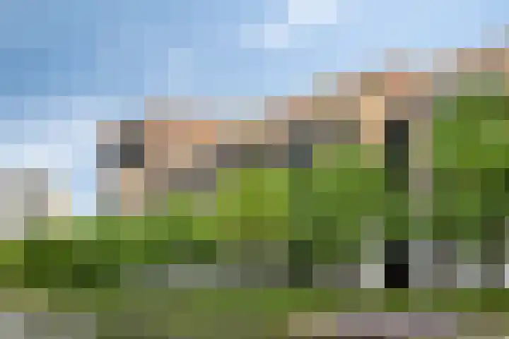 Hoflaan 171 's-Hertogenbosch thumbnail 6
