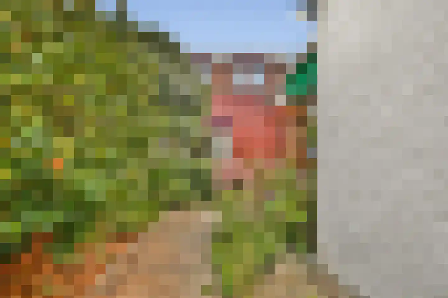 Hoflaan 18 's-Gravenzande thumbnail 12