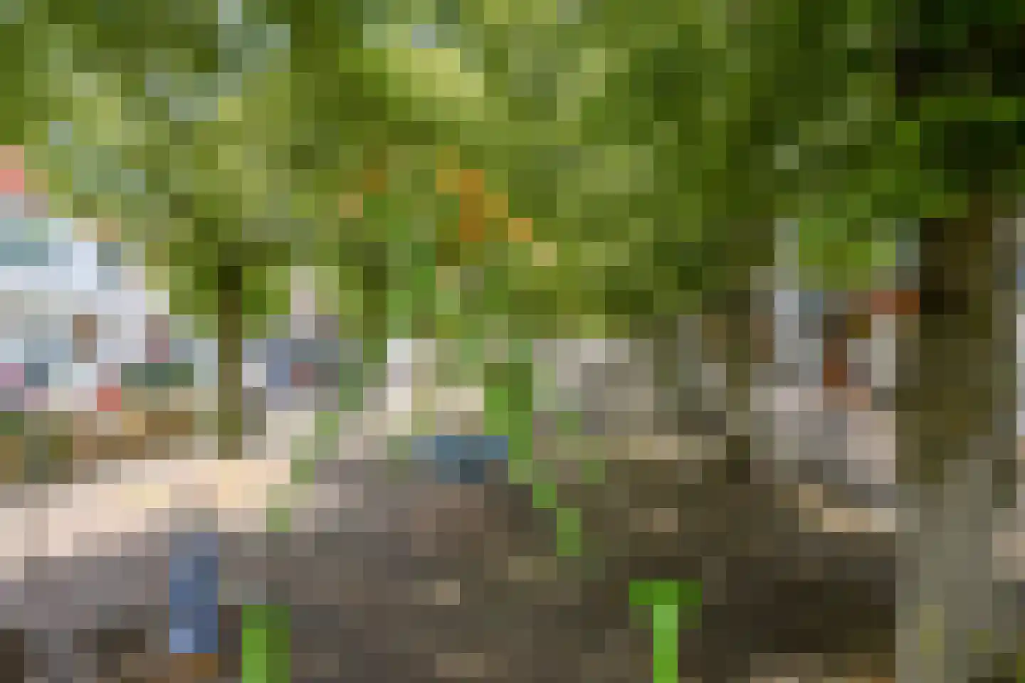 Hoflaan 18 's-Gravenzande thumbnail 32