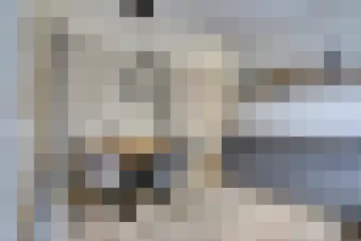 Hoflaan 19 Ede thumbnail 17