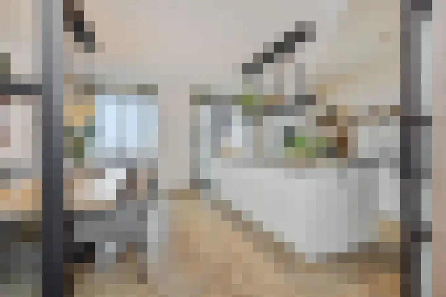Hoflaan 207 's-Hertogenbosch thumbnail 11