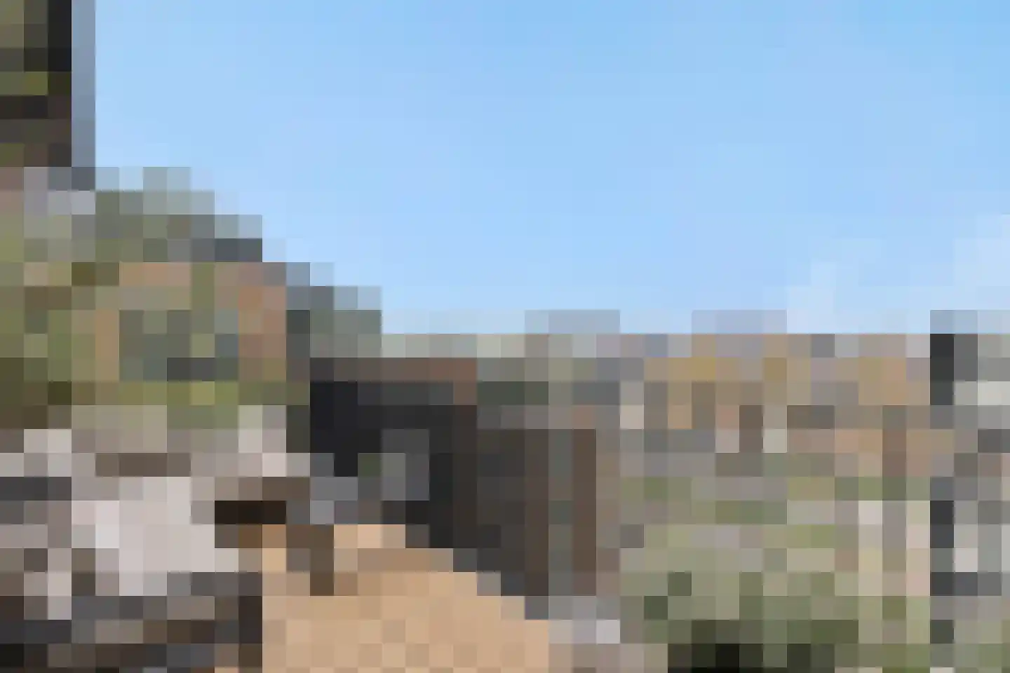 Hoflaan 207 's-Hertogenbosch thumbnail 19