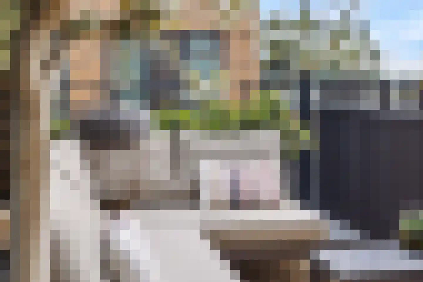 Hoflaan 207 's-Hertogenbosch thumbnail 21