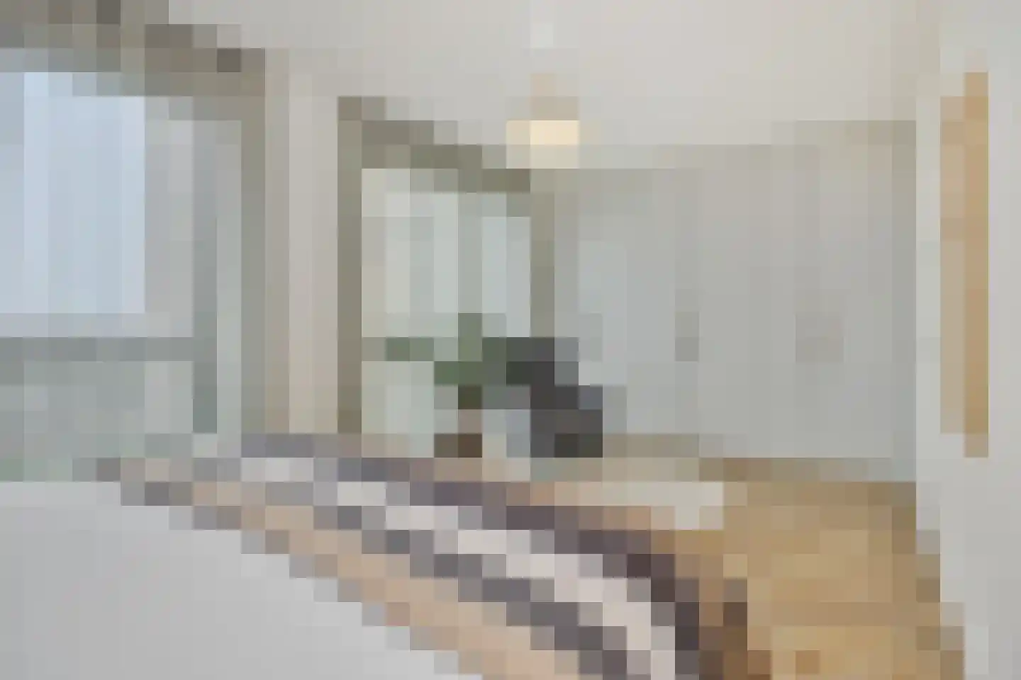 Hoflaan 207 's-Hertogenbosch thumbnail 31