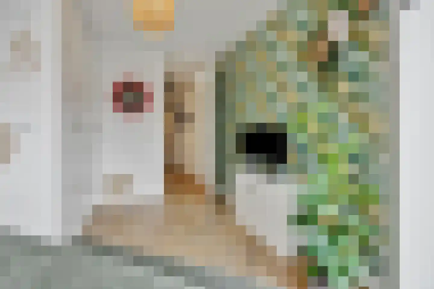 Hoflaan 207 's-Hertogenbosch thumbnail 33