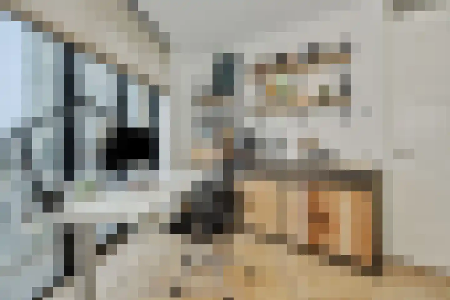 Hoflaan 207 's-Hertogenbosch thumbnail 35