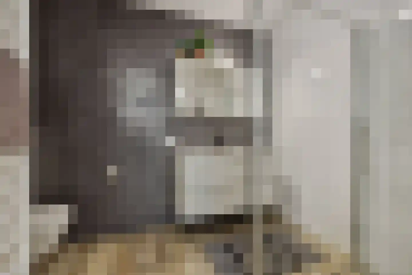 Hoflaan 207 's-Hertogenbosch thumbnail 36