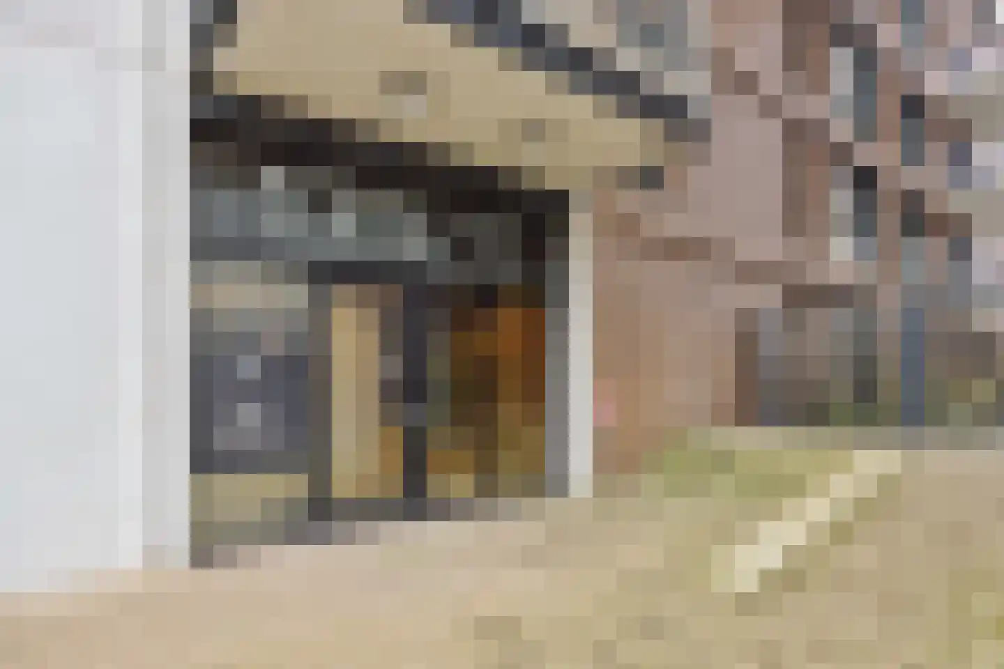 Hoflaan 207 's-Hertogenbosch thumbnail 46