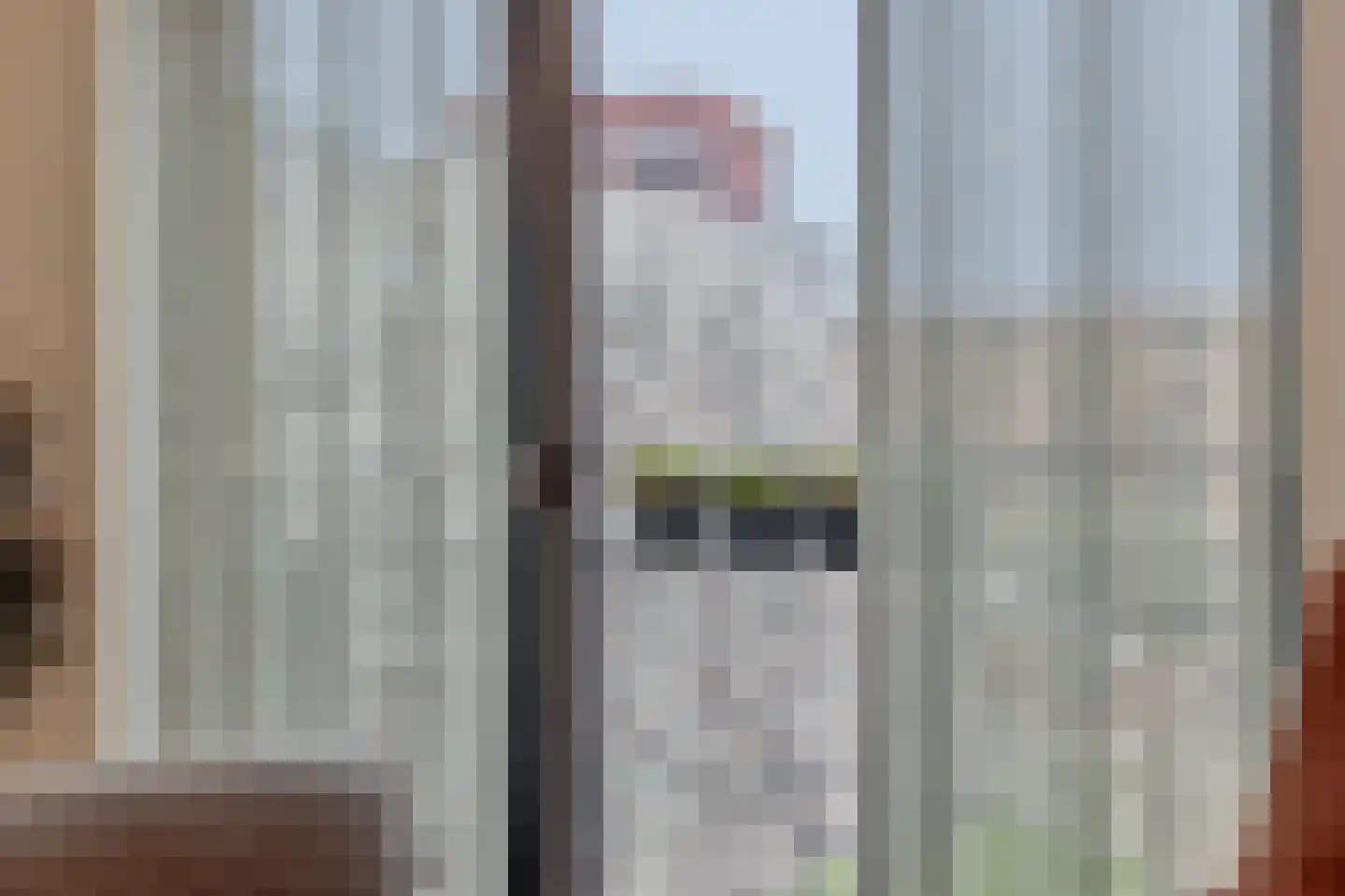 Hoflaan 207 's-Hertogenbosch thumbnail 6