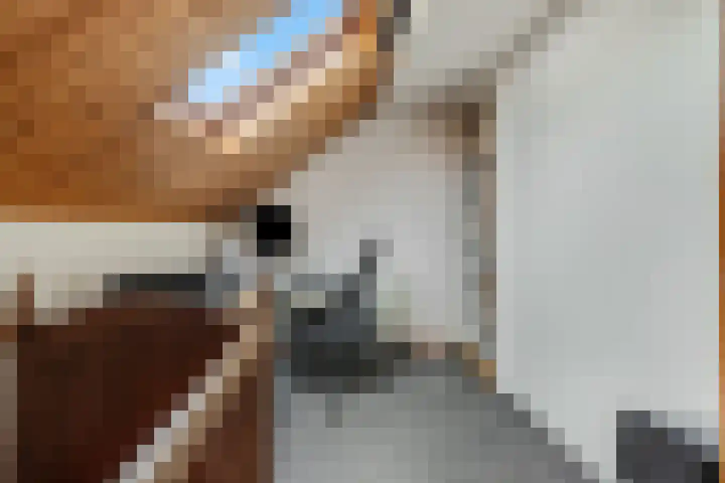 Hoflaan 21 Leersum thumbnail 20