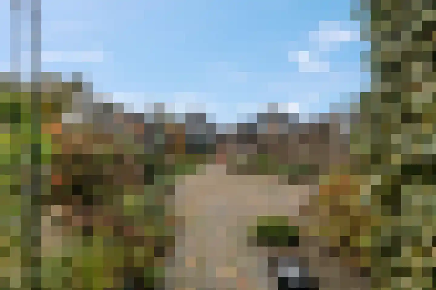 Hoflaan 21 Leersum thumbnail 24