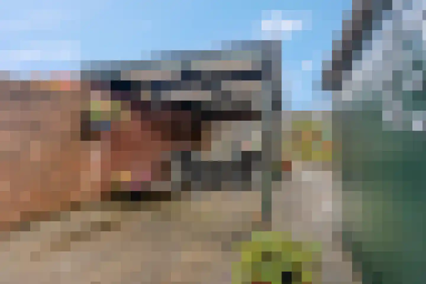 Hoflaan 21 Leersum thumbnail 28