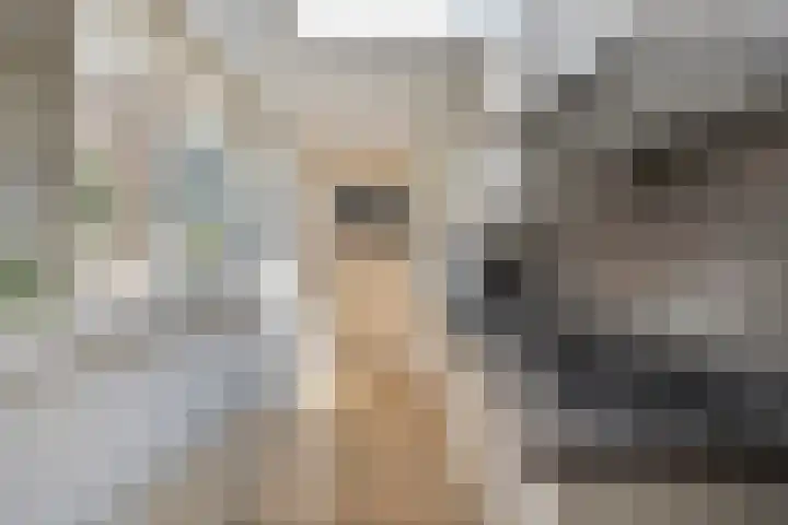 Hoflaan 22 Middelharnis thumbnail 16