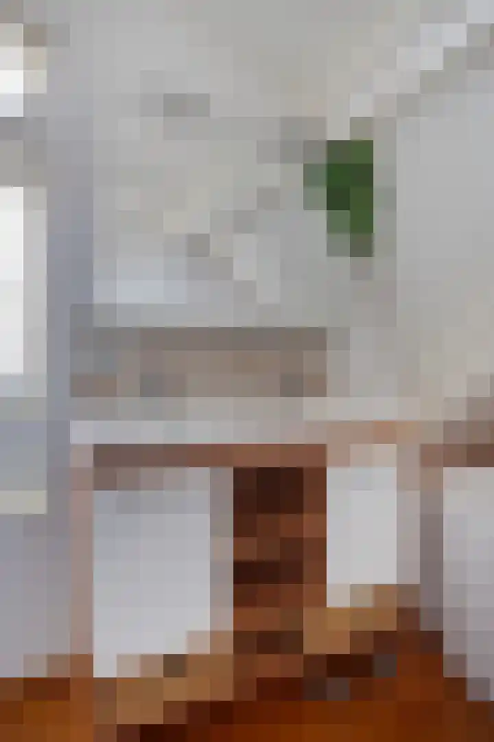 Hoflaan 22 Middelharnis thumbnail 21