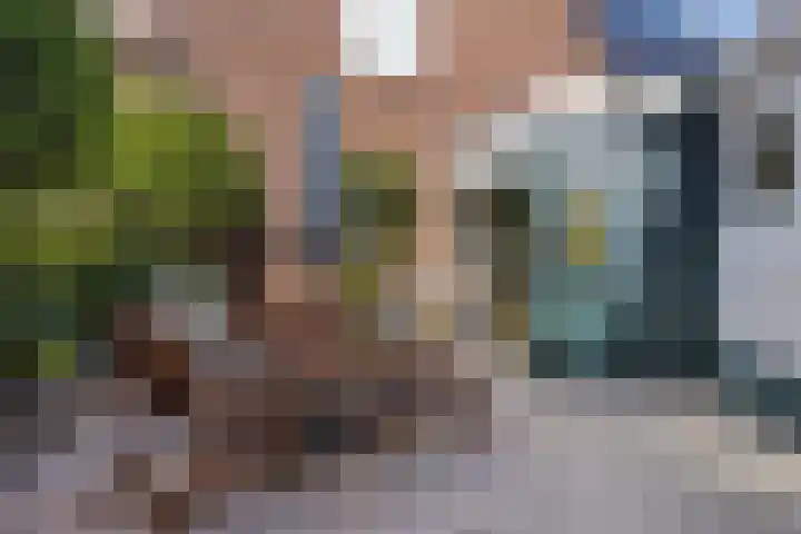 Hoflaan 22 Middelharnis thumbnail 27