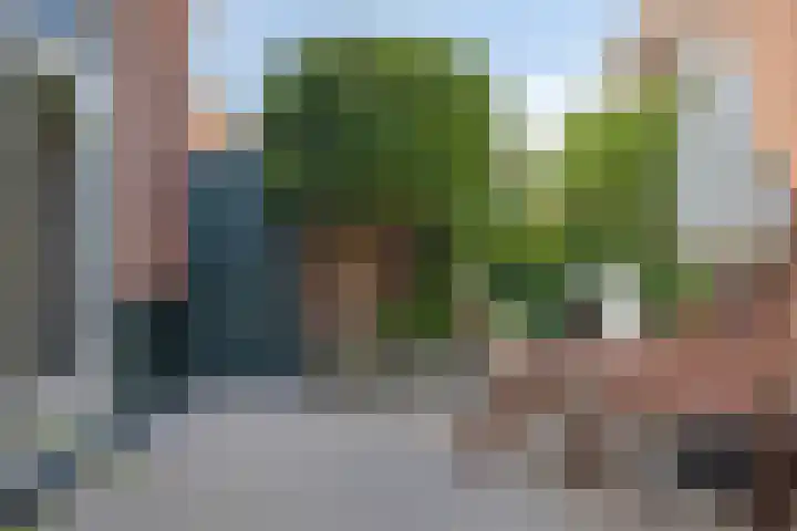 Hoflaan 22 Middelharnis thumbnail 29
