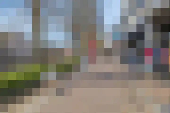 Hoflaan 22 Middelharnis thumbnail 34