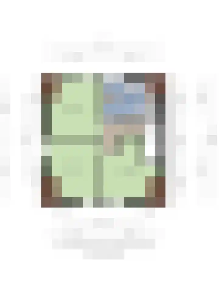 Hoflaan 22 Middelharnis thumbnail 37