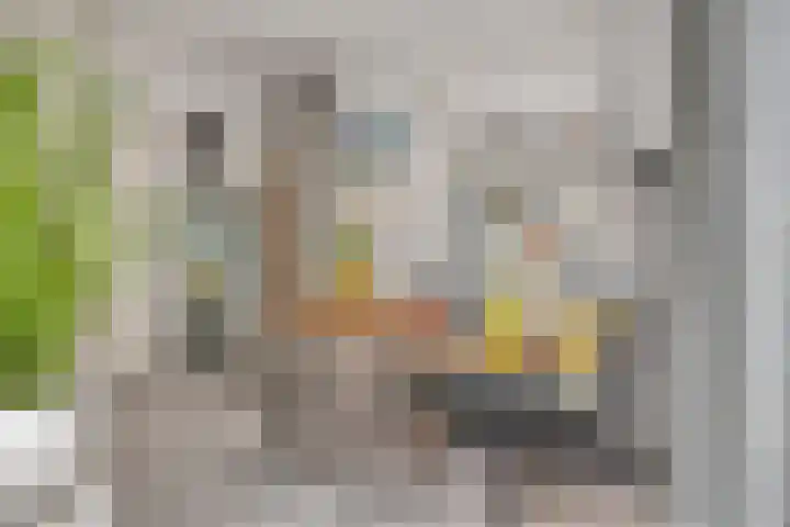 Hoflaan 229 's-Hertogenbosch thumbnail 10