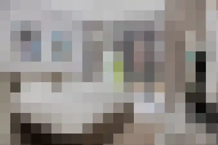 Hoflaan 229 's-Hertogenbosch thumbnail 17