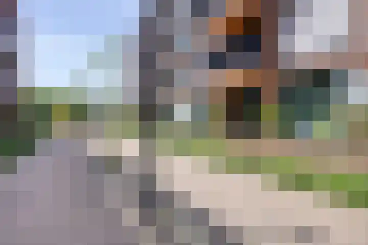 Hoflaan 229 's-Hertogenbosch thumbnail 29