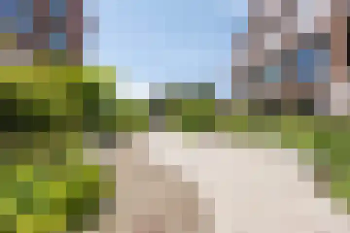 Hoflaan 229 's-Hertogenbosch thumbnail 30