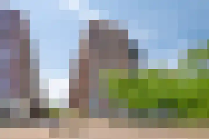 Hoflaan 229 's-Hertogenbosch thumbnail 4
