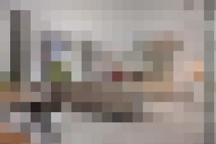 Hoflaan 229 's-Hertogenbosch thumbnail 8