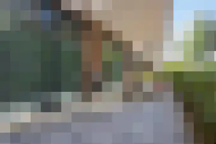 Hoflaan 239 's-Hertogenbosch thumbnail 15