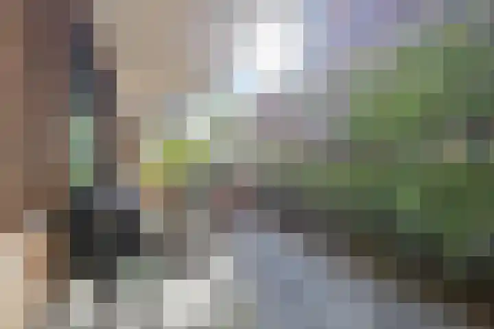 Hoflaan 239 's-Hertogenbosch thumbnail 16