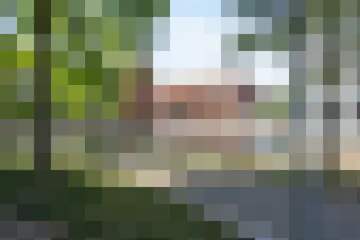 Hoflaan 239 's-Hertogenbosch thumbnail 18