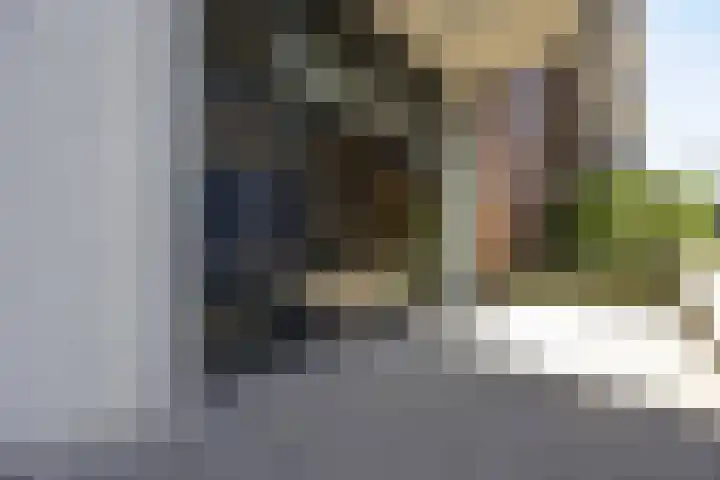 Hoflaan 239 's-Hertogenbosch thumbnail 4