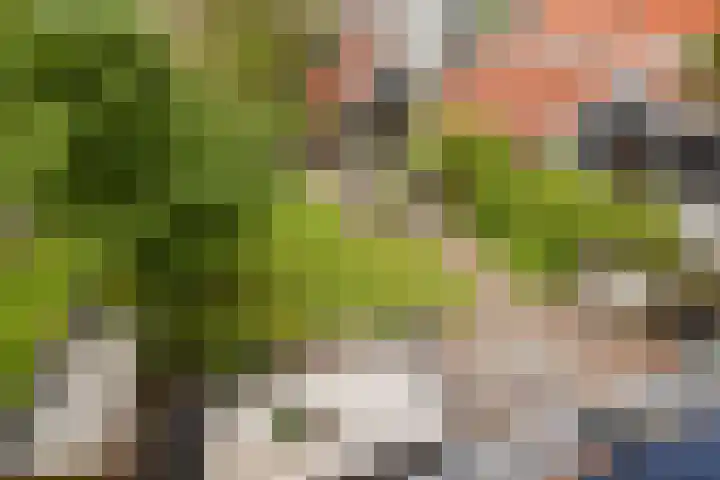Hoflaan 26 Wassenaar thumbnail 17