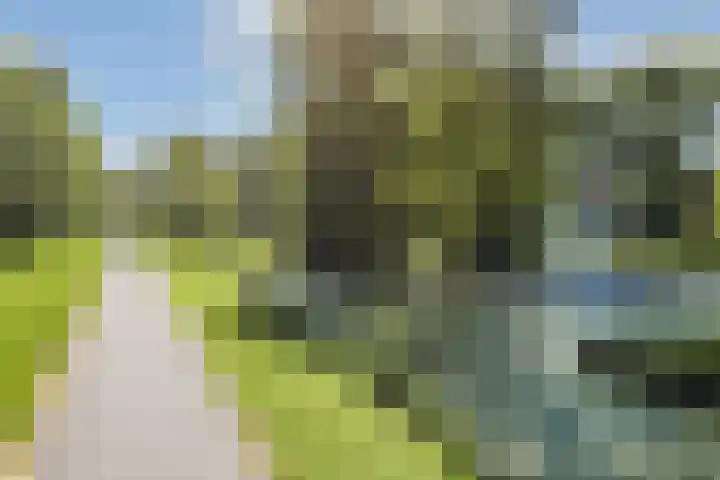 Hoflaan 26 Wassenaar thumbnail 37